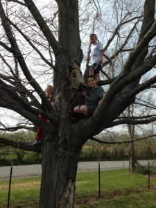 And a little tree climbing...