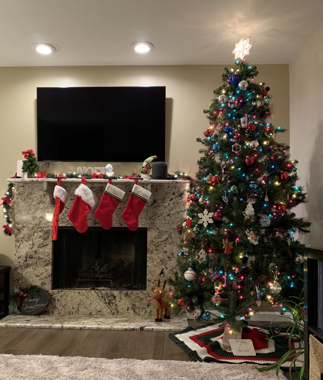 Christmas Tree 2020 The McMahon Family